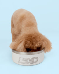 Pet Bowl Large (64 oz) - Shale Beige | Thumbnail Index: 0
