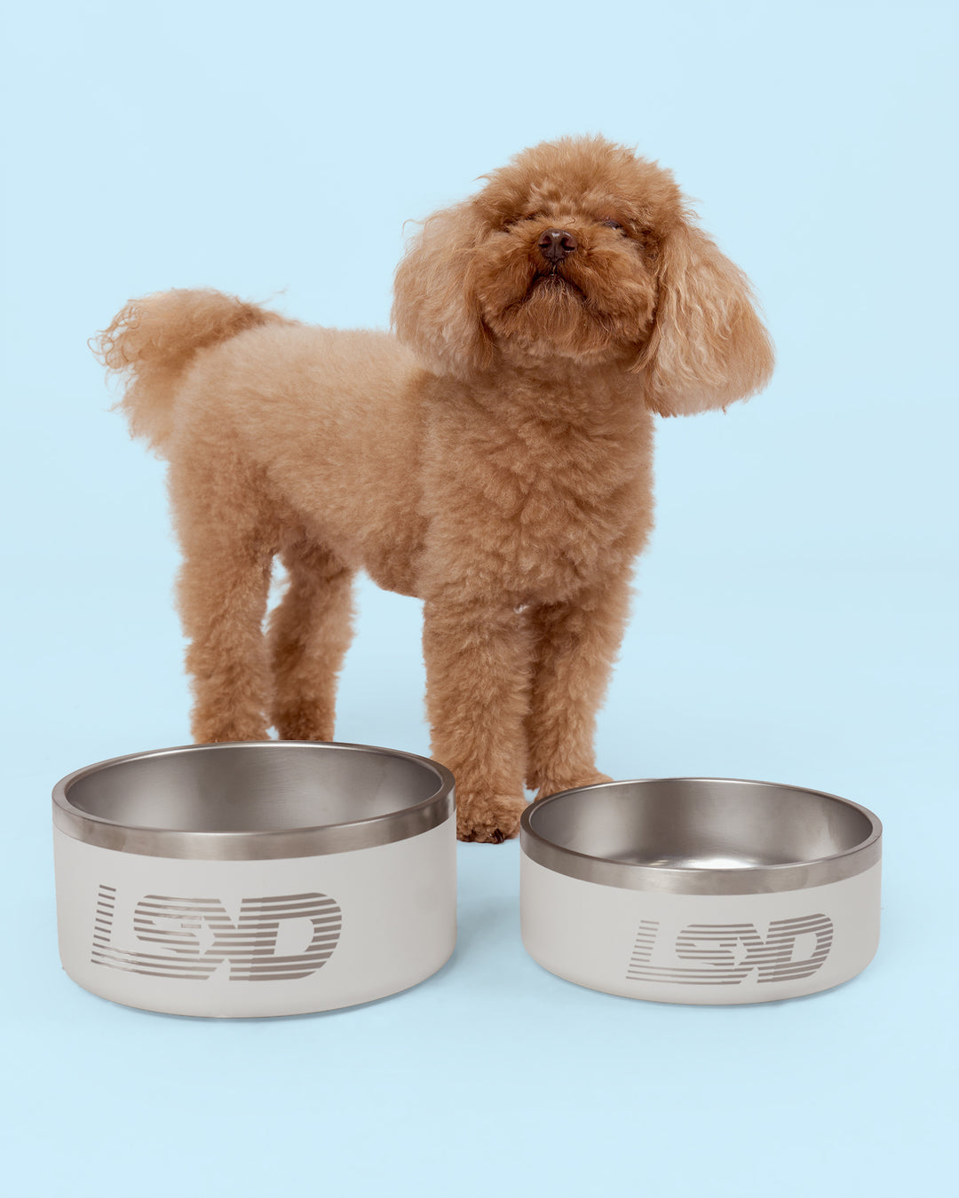 Pet Bowl Large (64 oz) - Shale Beige - view 11